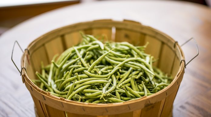 proprietà dei fagiolini