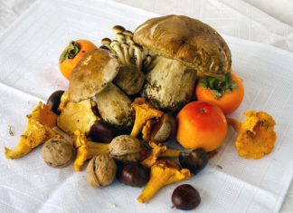 Le proprietà dei funghi, poche calorie e tanti benefici per l’organismo proprietà dei funghi