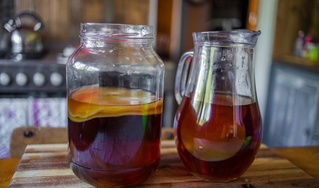 Kombucha