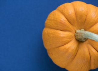proprietà della zucca