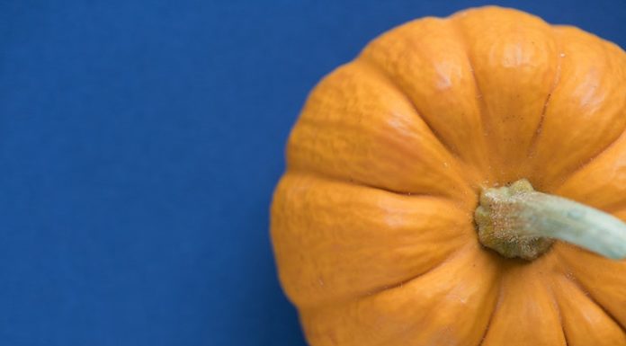 proprietà della zucca