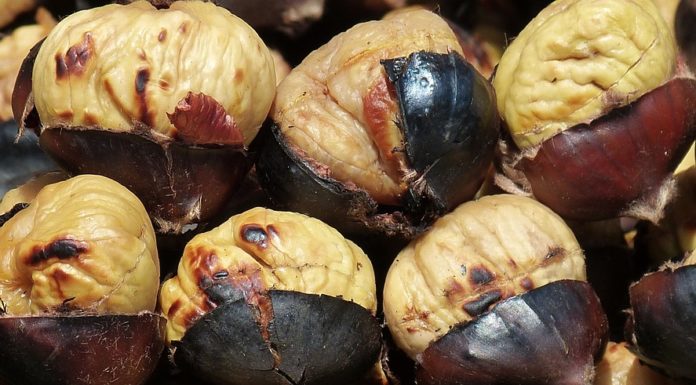 castagne al forno