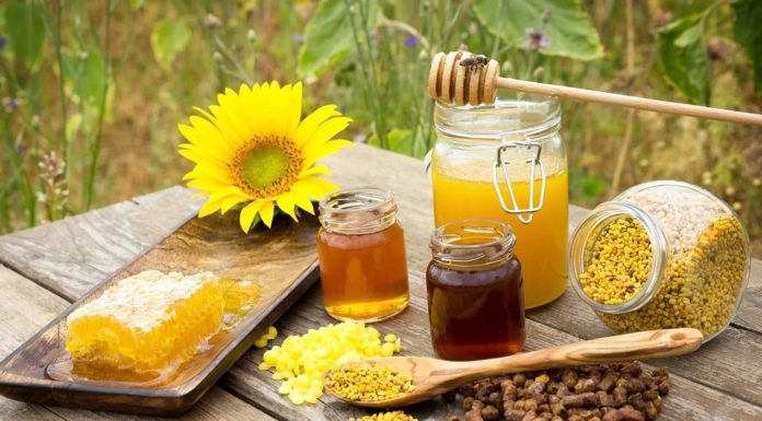 I prodotti dell'alveare