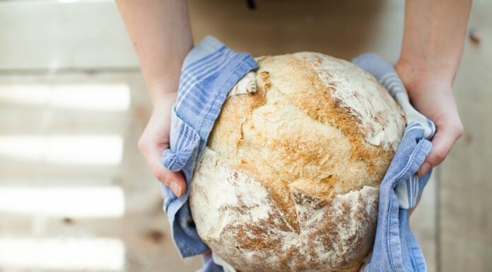 Odori e Puzze odori e puzze