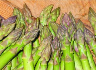 L’asparago verde di Canino: una golosa primizia di primavera Asparago verde di canino copa