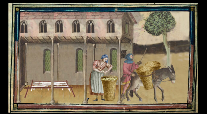 Archeologia della Salsa Genovese salsa genovese