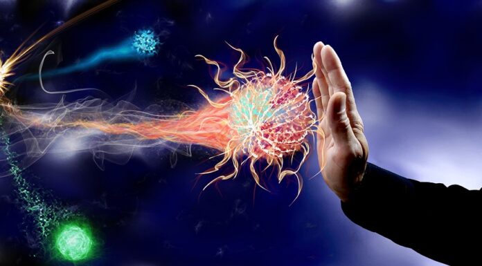 Difese immunitarie basse? Scopri le cause e i rimedi per tenere lontano i malanni di stagione (pixabay.com by Bru-nO)