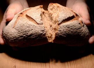 Pane