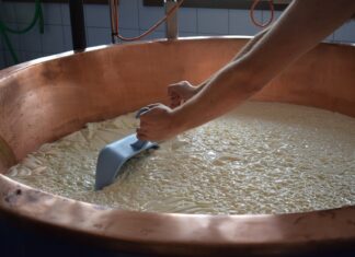 produzione formaggio