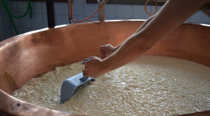 produzione formaggio