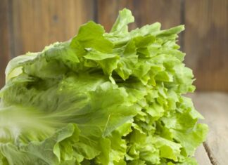 Scarola con uvetta e pinoli – Ricetta, proprietà e curiosità Scarola