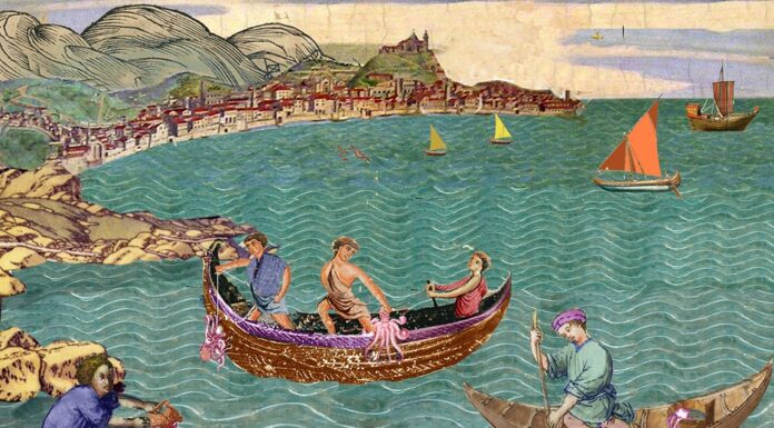 Il Brodo di Polpo polpo