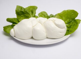 mozzarella di bufala