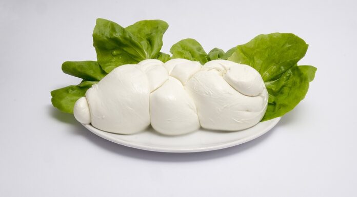 mozzarella di bufala