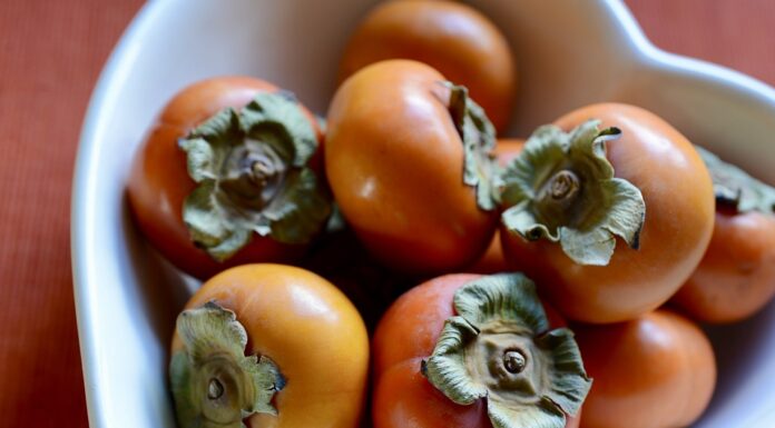 La mela d’oriente, il Loto del Giappone, il frutto emblema dell’inverno: Cachi con la panna cachi