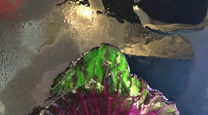 la cucina del Nautilus