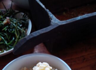 insetti commestibili