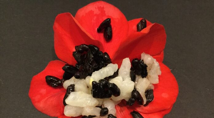 Riso amaro, piatto unico per due persone riso amaro