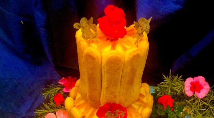 charlotte alle albicocche