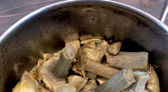 carciofi alla romana