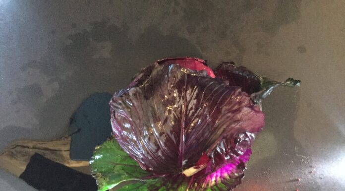 l’essenza dell’estate