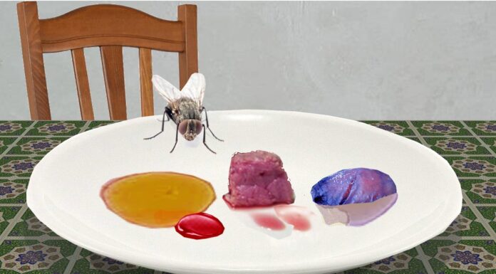 una mosca a cena