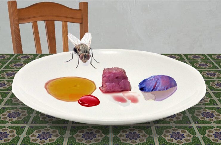una mosca a cena